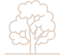 A tree icon