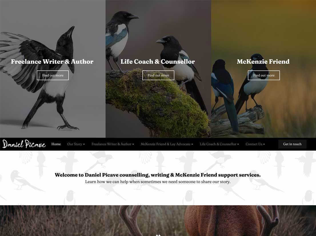 Daniel Picave | it'seeze Leicester Website Design